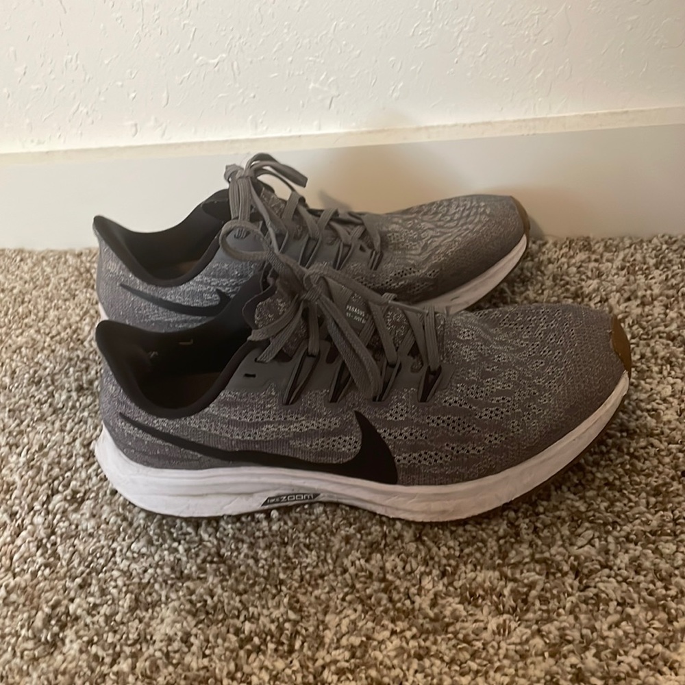 Nike Pegasus shoes